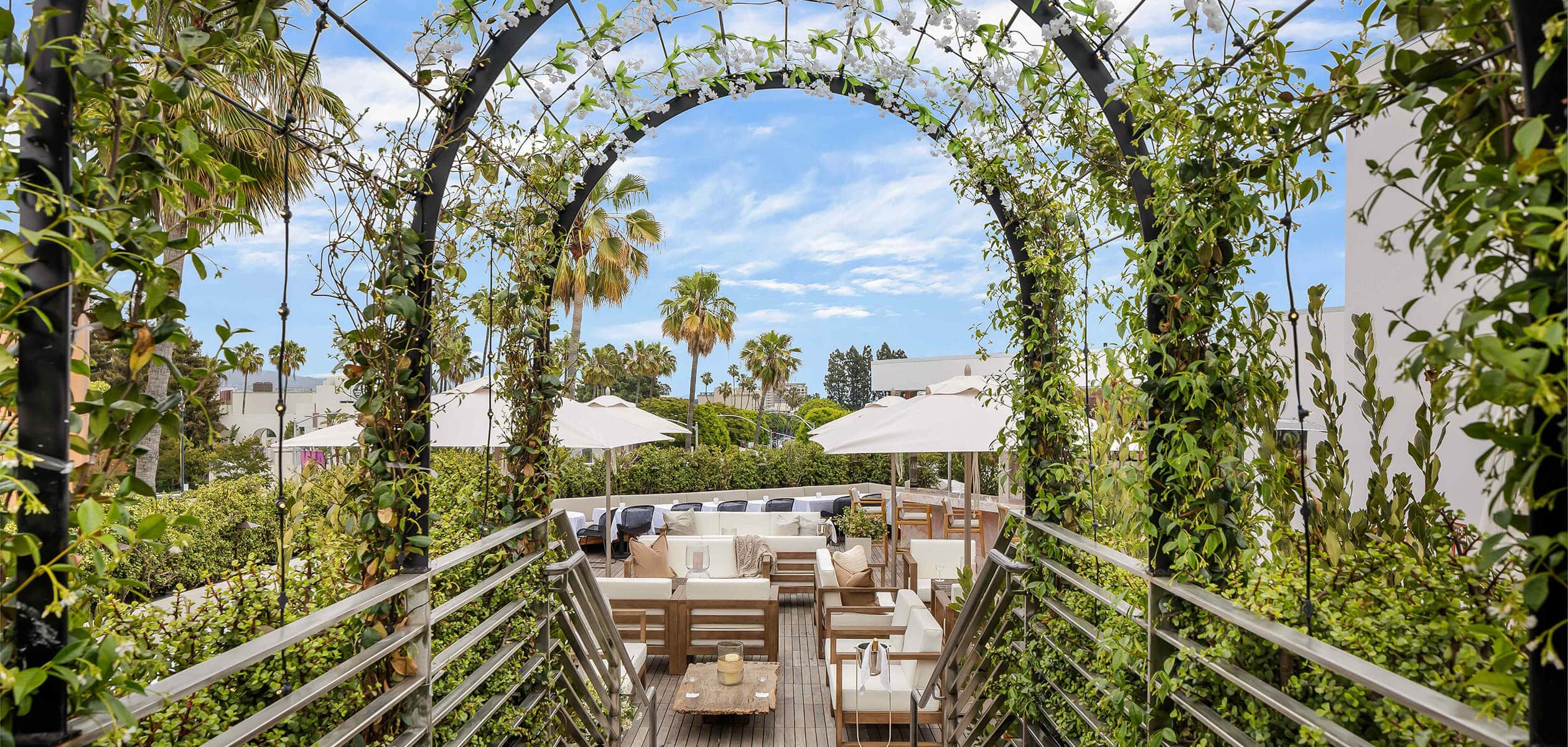 Rooftop of Funke with plants